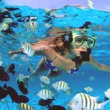 Unbranded Snorkelling and Sailing Cruise at Cap Cana - Adult