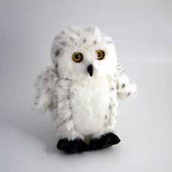 Unbranded Snowy Owl