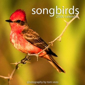 Songbirds Calendar