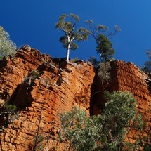 Southern Flinders Ranges Experience - Adult
