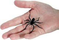 Lots of people are scared of spiders.   This is a good fake spider because it