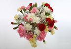 Unbranded Spray Carnations Bouquet