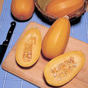 Unbranded Squash Hasta La Pasta Seeds