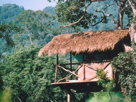 Unbranded Sri Lanka eco lodge accommodation