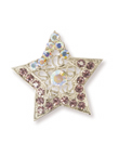 Star-shaped brooch to play the designer-clad queen