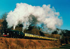 Unbranded Steam Hauled Excursion in the South on the Orient-Express for Two