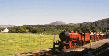 Unbranded Steam Train Experience for Two