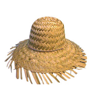 Unbranded Straw Beachcomber hat