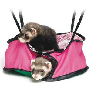 Playhouse is the perfect playtime accessory for ferrets and other critters providing a comfortable s