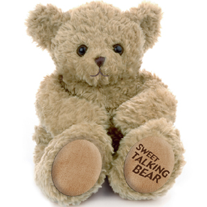 Unbranded Sweet Talking Teddy Bear with Microwavable