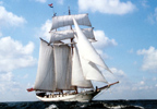 Unbranded Tall Ship Sailing Experience