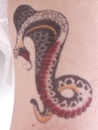 Tattoo: Cobra