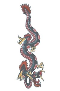 Tattoo: Coloured Dragon