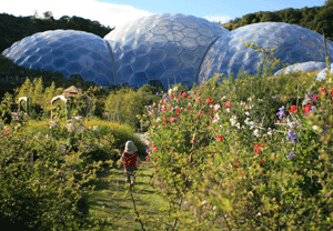 Unbranded Tea and Cake for Two at Eden Project