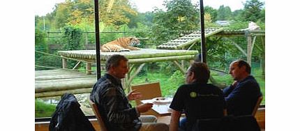 Unbranded Tea with the Tigers