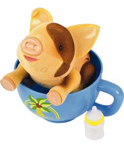 Unbranded Teacup Piggies