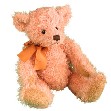 Teddy Bear Named Fuzzby