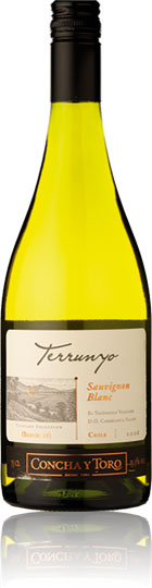 Terrunyo Sauvignon Blanc 2007 Casablanca Valley Chile (75cl)
