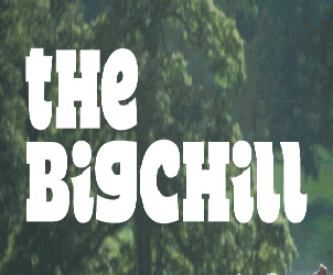 Unbranded The Big Chill Festival