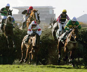 Unbranded The Grand National Meeting