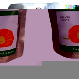 Unbranded The Pocket Garden Plant - Iceland Poppy