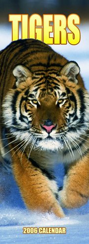 Tigers - SLIM Calendar