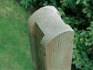 Unbranded Timber Post Green: (1x) 1.8m x 75mm x 75mm - CAN ONLY BE ORDERED WITH GRANGE PANELS