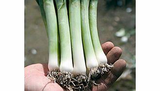 Unbranded Tobys Complete Veg Seed Collection