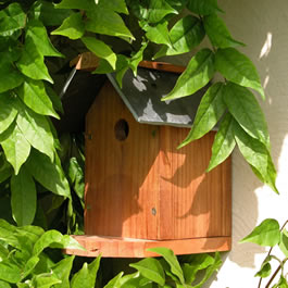 Tom Chambers Brodsworth Nesting Box