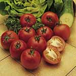Unbranded Tomato Alicante Seeds