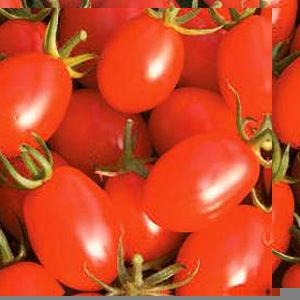 Unbranded Tomato Rosada F1 Hybrid Seeds