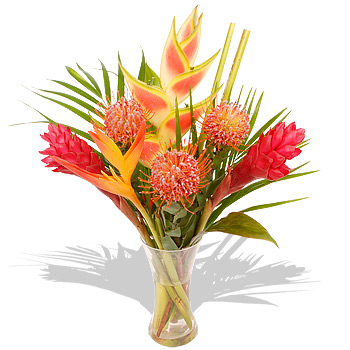 Unbranded Totally Tropical FREE Bulbs - flowers
