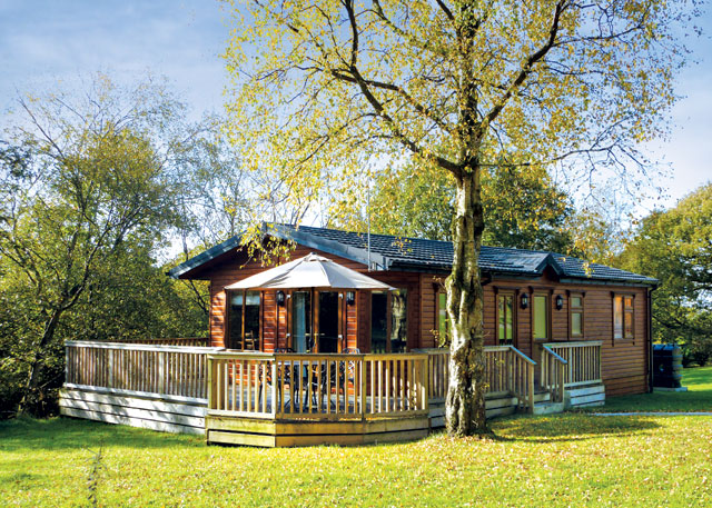 Unbranded Treetops Lodge Holiday Park
