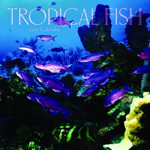 Tropical Fish Calendar