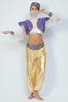 Filled with eastern promise...Consists of gold lame trousers and white shirt with chiffon sleeves. H