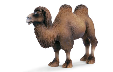 Unbranded Two Humped Camel