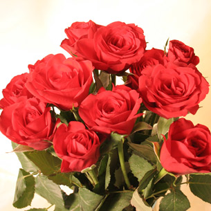 Unbranded Valentine 12 Red Roses