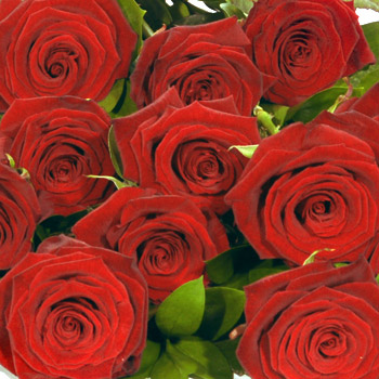 Unbranded Valentines Casanova - flowers