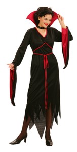 Unbranded Value Costume: Bewitched