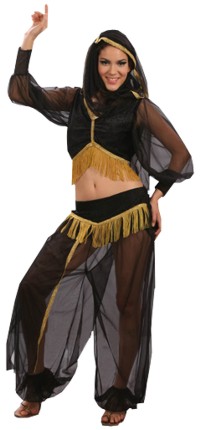 Unbranded Value Costume: Harem Girl (Adult)