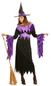Unbranded Value Costume: Purple Witch