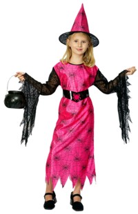 Unbranded Value Costume: Trendy Spider Witch (Small 3-5 Yrs)