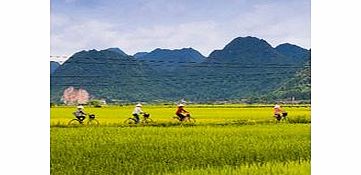 Trade in the frenetic pace of hectic Hanoi for an unforgettable bike ride through the Vietnam countryside. Cycle along the banks of the Red River to explore the timeless traditional villages and learn about life outside of Hanoi.