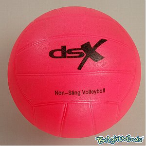 Volleyball Equipment - Volleyball