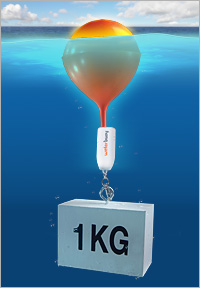 Unbranded Waterbuoy