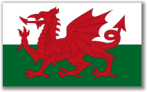Medium Red Dragon Flag, the National Flag of Wales. Fly it on St David`s Day, March 1st