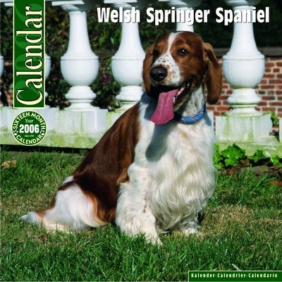 Welsh Springer Spaniel 2006 calendar