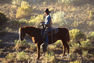Unbranded Western Adventure Riding Day