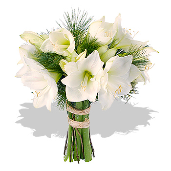 Unbranded White Amaryllis Bouquet - flowers