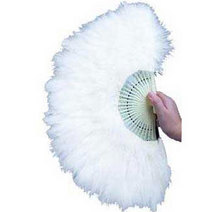 Unbranded WHITE FEATHER FAN